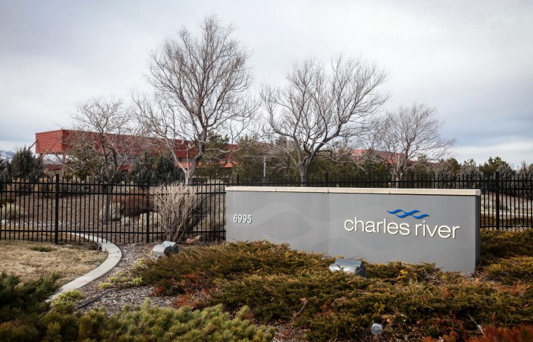 The Charles River Laboratory in Reno, Nev., in 2010.