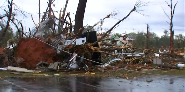 An uprooted tree and downed power lines in Troup County, Georgia, after a tornado touched down early Sunday. 