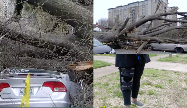 Louisville woman's house hit by tree