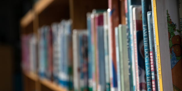 Books in a school library