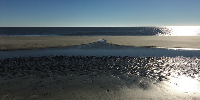 Beach on Jekyll Island, Georgia