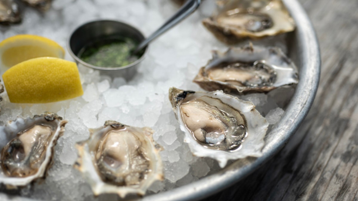 oysters on ice