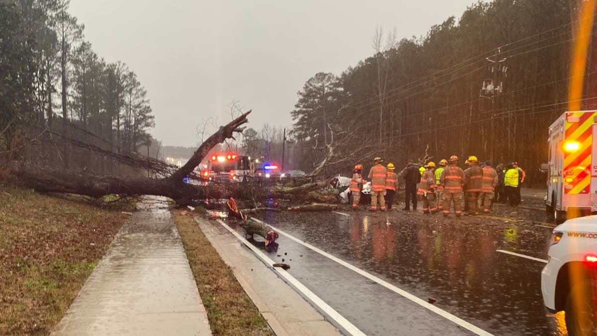 First responders at the scene where a 78-year-old man was killed during a heavy storm Tuesday when a falling tree crashed onto his car. 