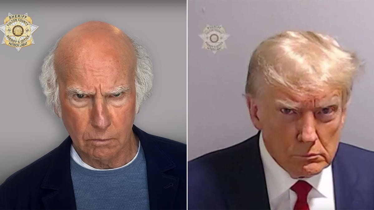 Larry David Trump mugshot